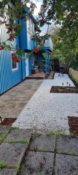 Blueberry road